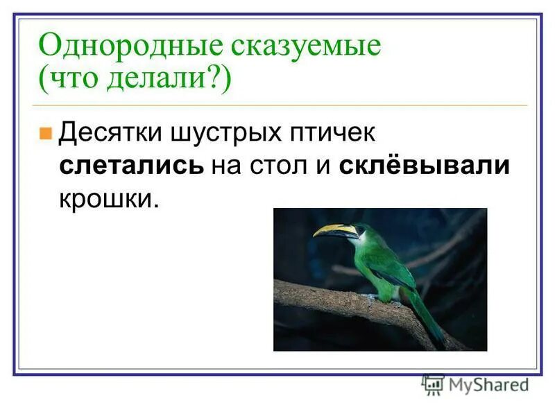 Однородные сказуемые 4 класс правило. Однородные сказуемые. Однопроходные сказуемные. Однородные форсказуемое. Однднородные скащуемые.