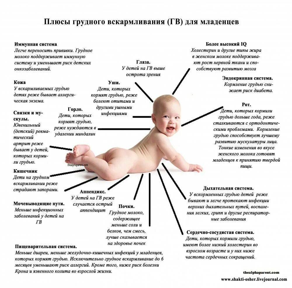 С какого возраста можно ставить ребенка. Схема преимущества грудного вскармливания. польза грудного вскармливания памятка. роль грудного вскармливания в формировании здоровья ребенка. плюсы грудного вскармливания для ребенка новорожденного.