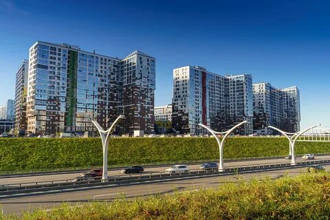 Древо жизни васильевский остров