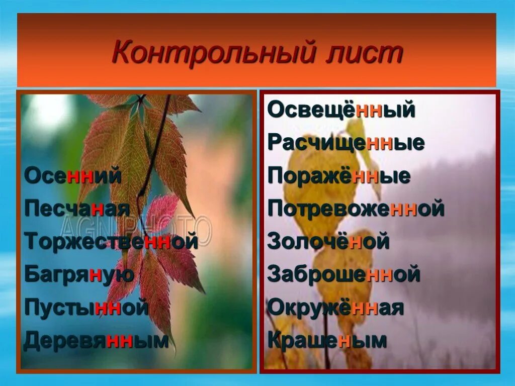 Прилагательные на тему осень. Прилагательные к осенним листьям. Осень какая прилагательные. Листочек с прилагательными. Прилагательное к слову дерево