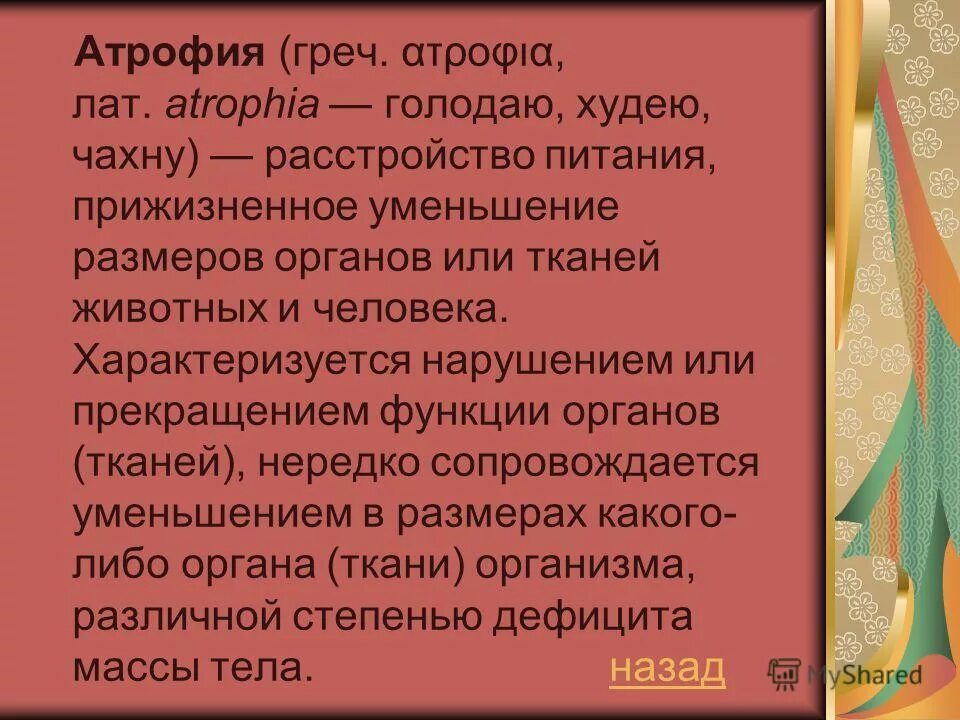 терминоэлементы латынь. приставки в латинском языке. термины элементы в латинском языке. Atrophia латынь. Atrophia латынь.