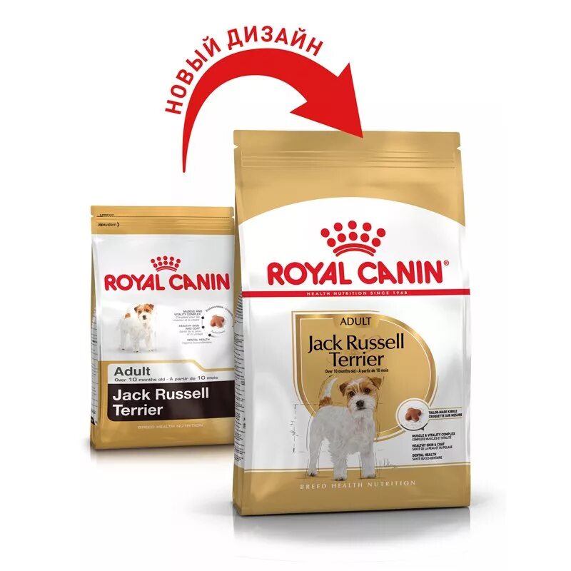 Сухой корм для джек рассела. Роял канин для джек рассела. royal canin west highland white terrier. корм для джек рассел терьера роял канин. корм роял канин для щенков для джек рассел терьера.