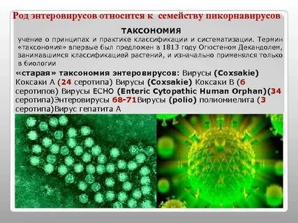 Тест энтеровирусная инфекция ответы