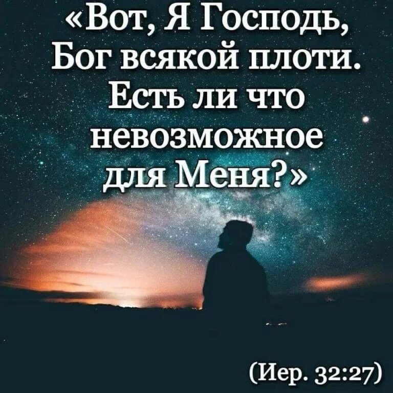 Плоть и суть