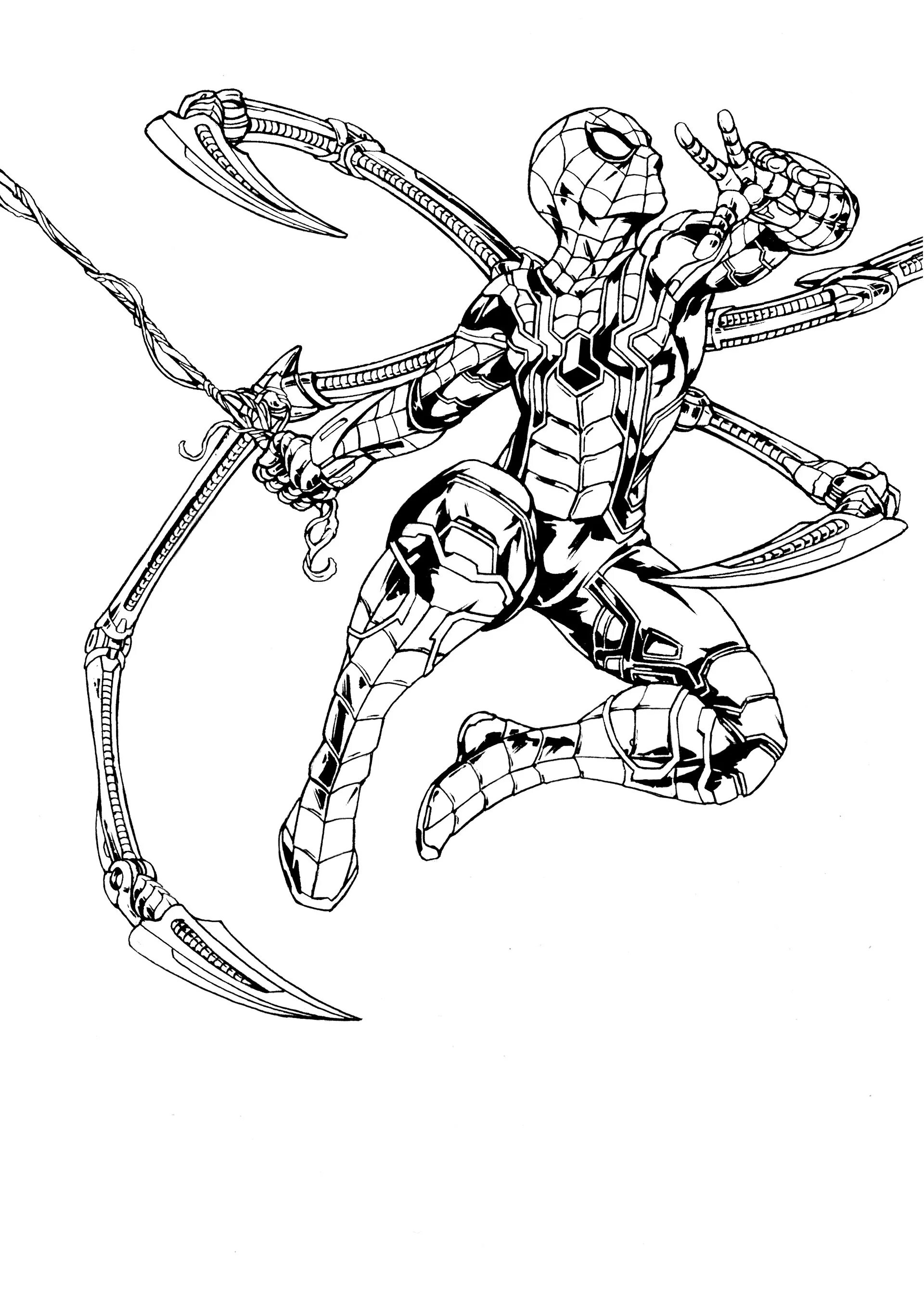 Железный паук раскраска. Разукрашка Железный человек паук. Раскраска человек паук 2099. Человек паук с клешнями раскраска. Раскраски Марвел Железный человек паук.