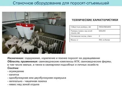 Системы и способы содержания свиней