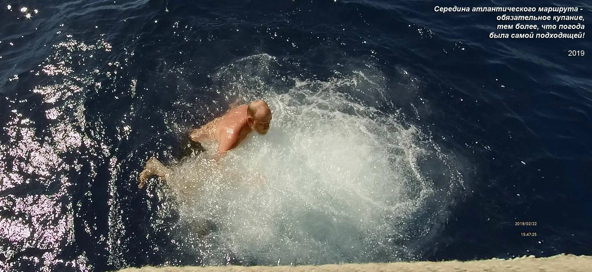 Обязательное купание. Морской Пилигрим животное. Рыба Пилигрим. На лодье плывёт рыцарь к скале фото.