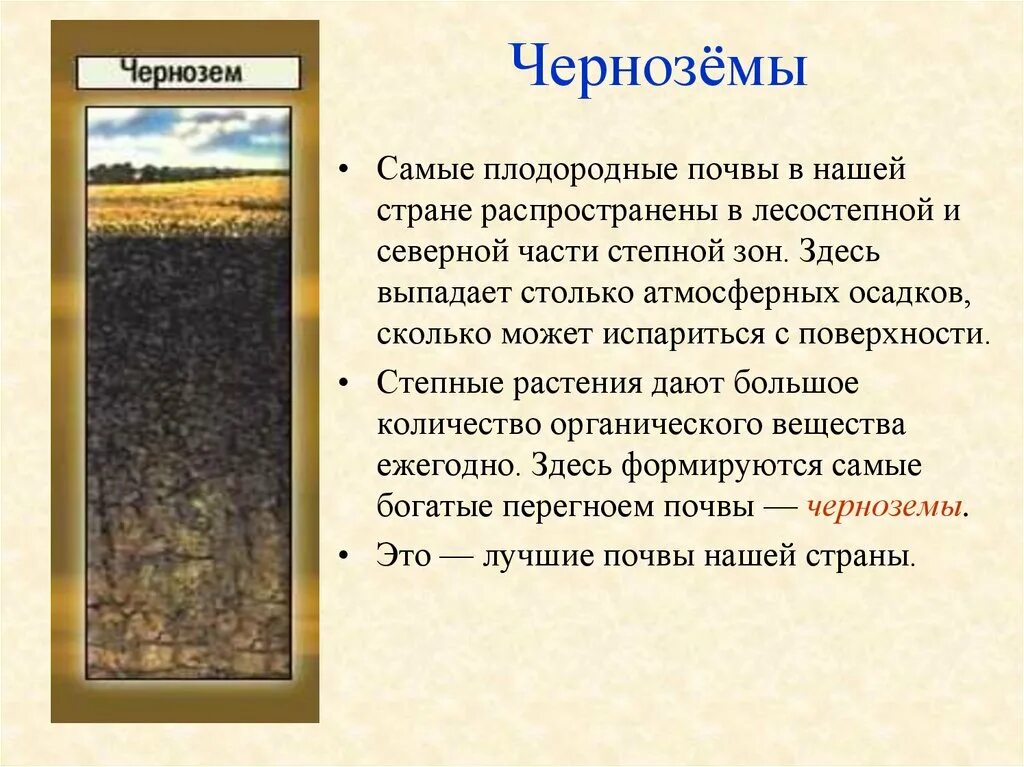 В каком районе наиболее плодородные почвы. Сероземы самые плодородные почвы. Тип почвы чернозем. Чернозем самая плодородная почва. Типы черноземных почв.