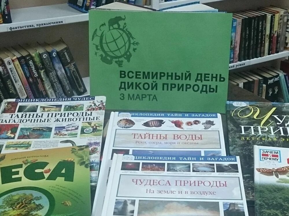 Всемирный день дикой природы мероприятия. Всемирный день дикой природы книжная выставка. День дикой природы книжная выставка в библиотеке. Книжная выставка о дикой природе. Всемирный день дикой природы мероприятия в библиотеке.