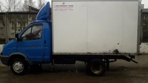 Газель тюменская область