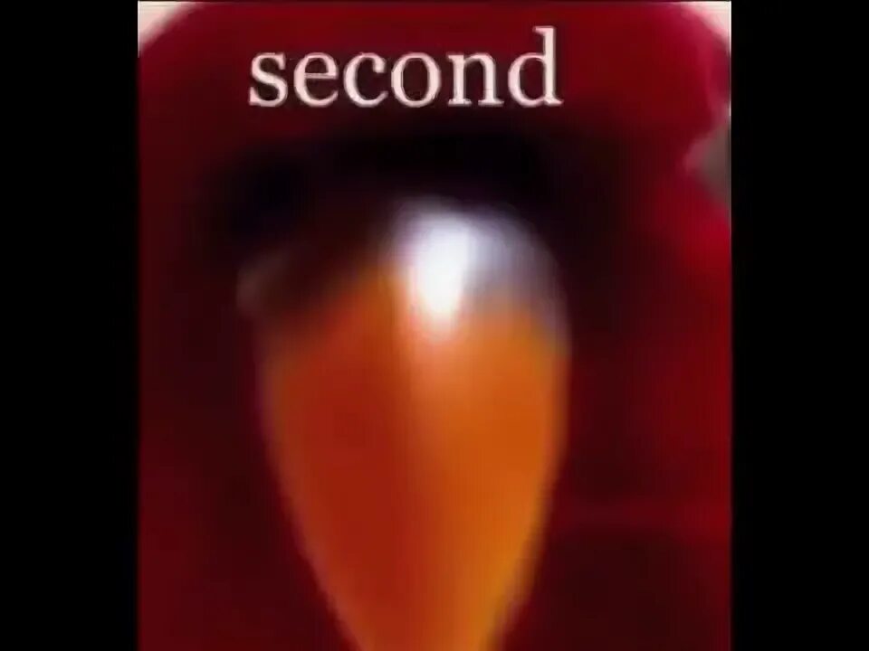We only get one. Every second you&#039;re not running i&#039;m only getting closer. every second you are not running i am only getting closer.
