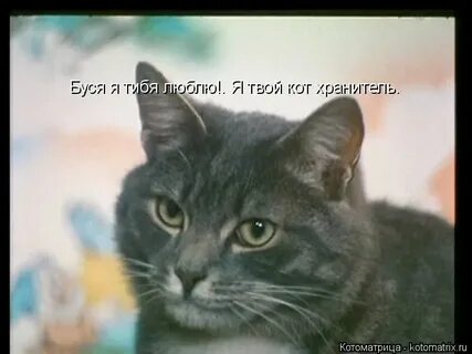 Дать бусю
