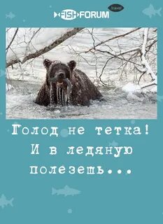 Голод не тетка выражение