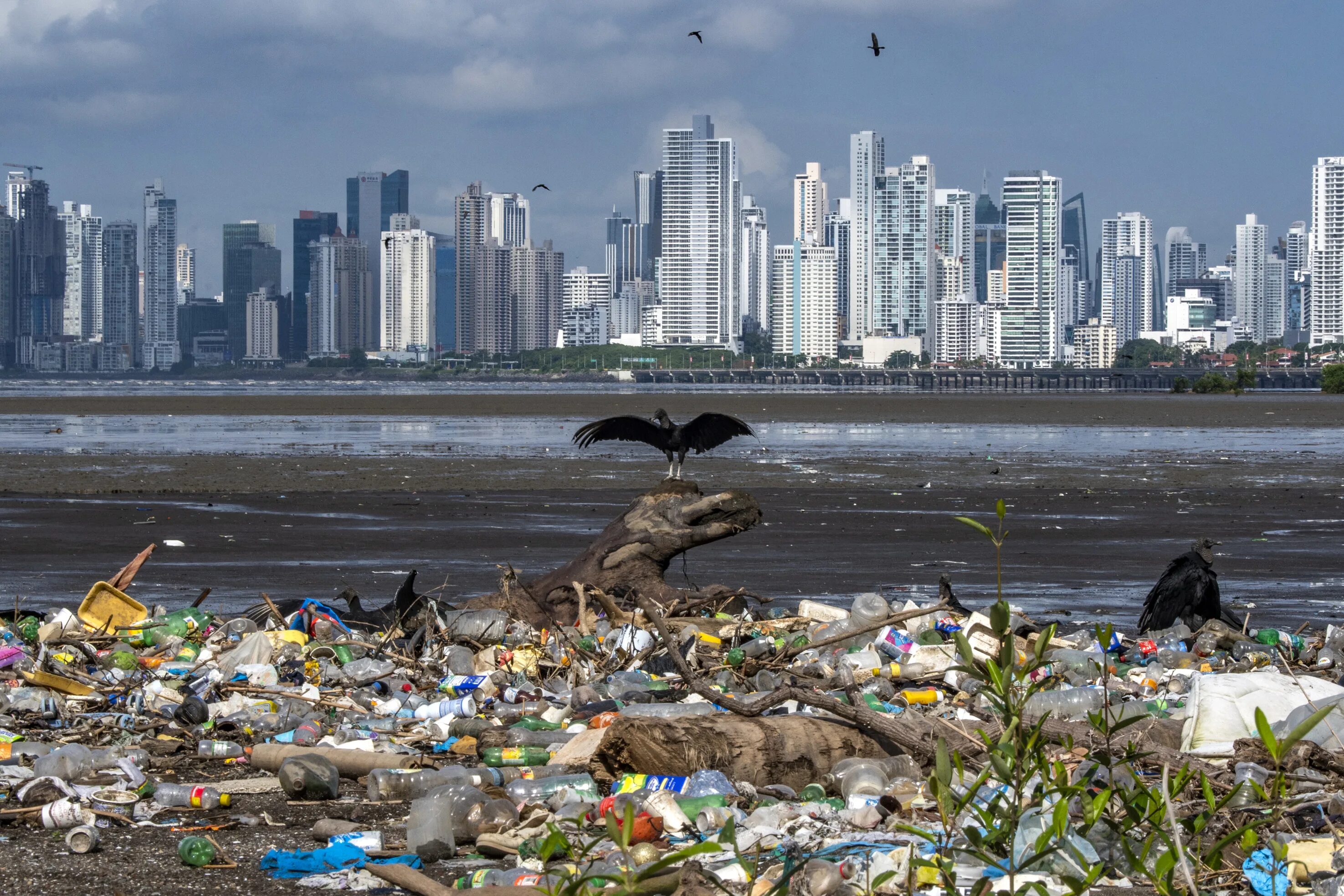 A lot of pollution. Загрязненный океан. Загрязнение мирового океана. Загрязнение Мировых океанов. Глобальное загрязнение мирового океана.