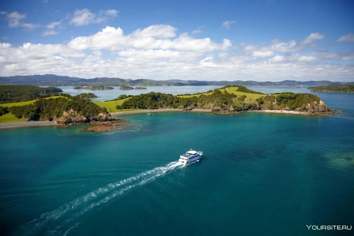 New zealand two islands. Окленд Айленд остров новой Зеландии. Залив островов новая Зеландия. Оклендские острова новая Зеландия. Новая Зеландия Северный остров.