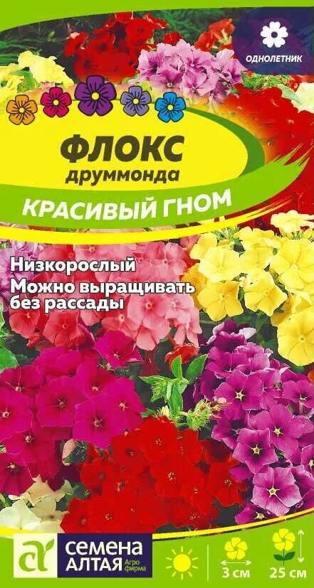 Флокс Гном однолетник. Флокс красивый Гном 0,2 г. Флоксы Гном однолетние. Флоксы однолетки Гном. Цветок красивый гном