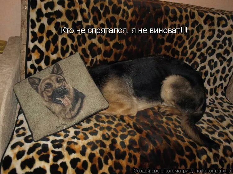 Считалки для выбора водящего в подвижной игре. Пощиталки для детей. Картинка кто не спрятался я не виноват. Я спрятался. Кто не спрятался я не виноват считалка.