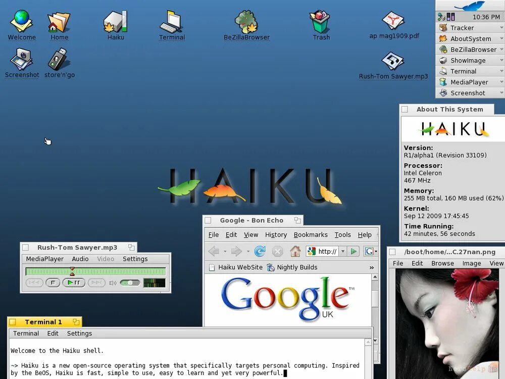 Haiku os. Haiku операционная система. ос beos haiku. firefox haiku os. vivaldi в haiku os.