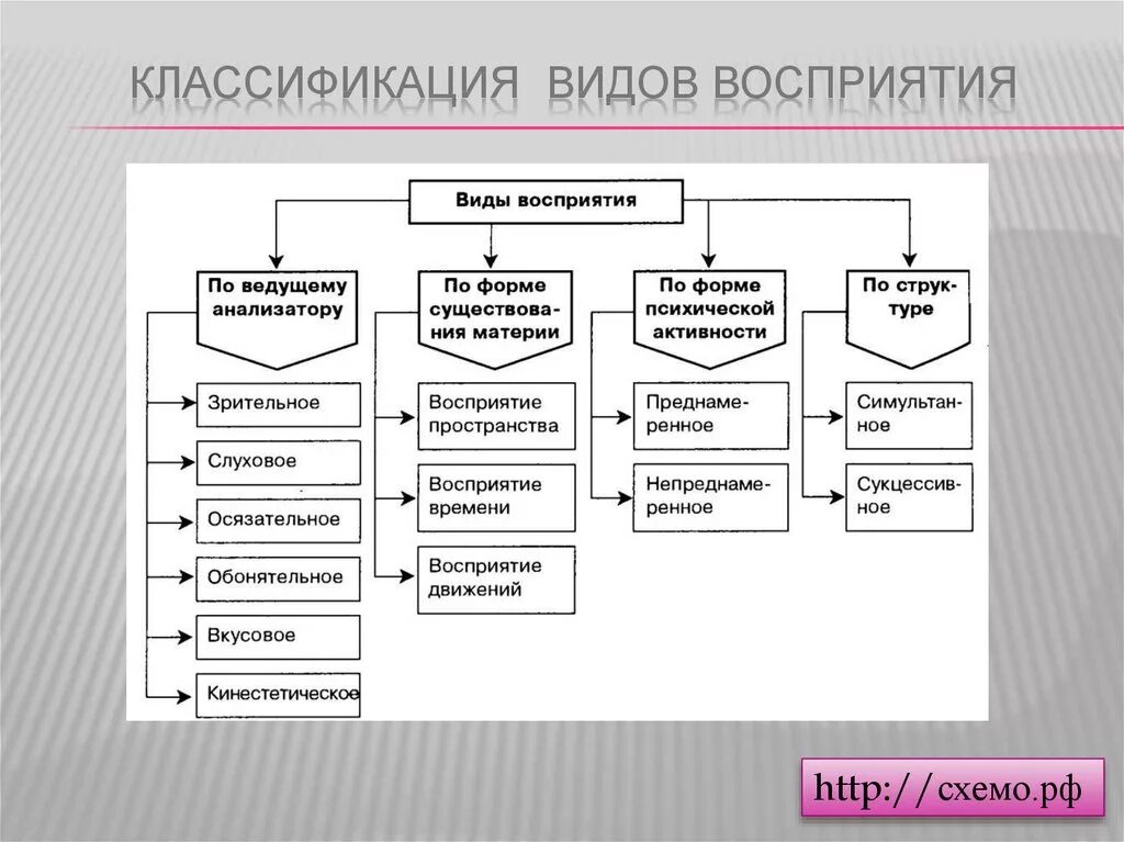 Выберите определение понятия восприятие. Классификация восприятия в психологии. Классификация видов восприятия. Схема восприятия в психологии. Классификация форм восприятия в психологии.