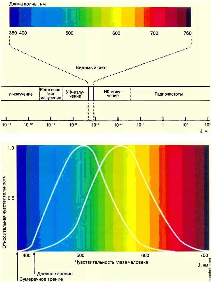 Диапазон длин волн видимого света. Частоты и длины волн видимого спектра. Цветовая шкала спектр света. Видимый спектр диапазон длин волн.