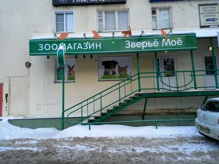 Зверье мое