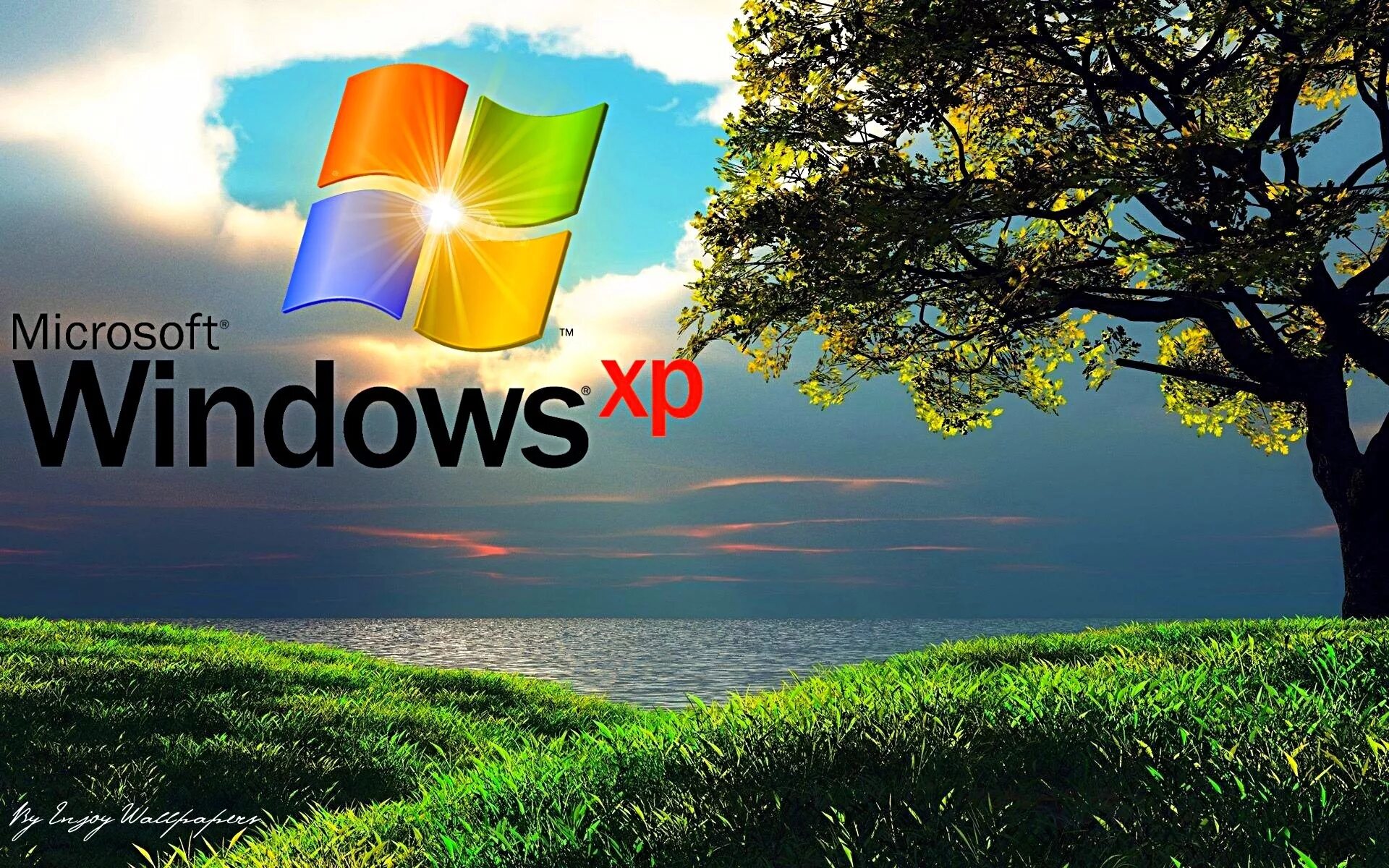 Microsoft windows photos. Microsoft ос windows xp. обои windows xp. заставка на рабочий стол виндовс. windows xp рабочий стол.