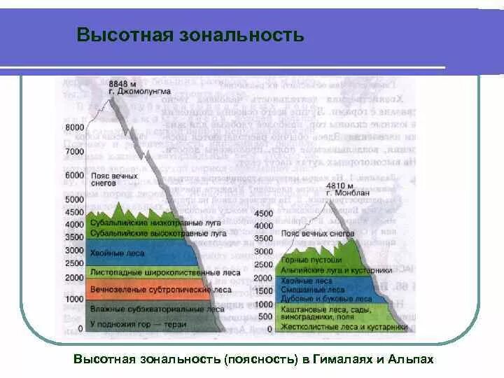 Примеры проявления широтной зональности и высотной поясности. Примеры проявления широтной зональности и высотной поясности