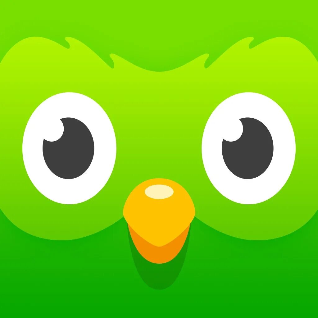 Логотип дуолинго. Duolingo. совенок дуолинго. значок дуолинго. duolingo значок приложения.