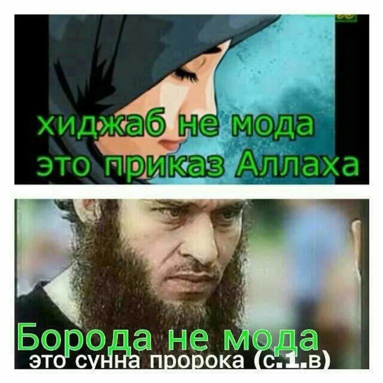 Хиджаб и борода. Борода это сунна. борода в исламе. борода и хиджаб. борода сунна пророка.