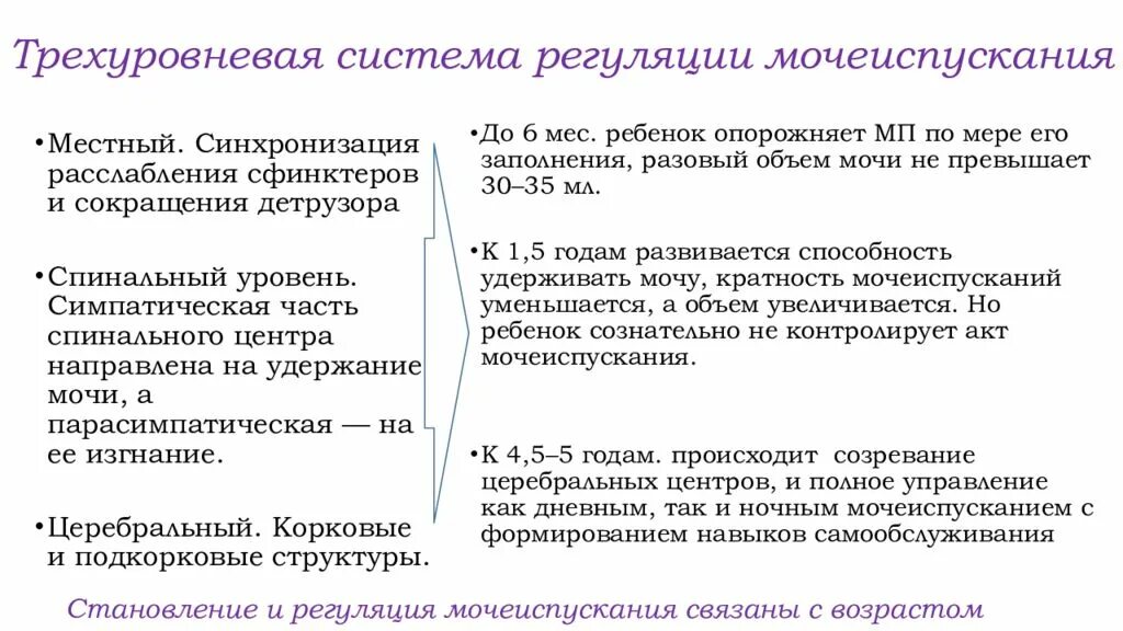 Раскройте механизмы регуляции мочеиспускания. Регуляция мочеиспускания. Особенности регуляции мочеиспускания. Афо мочевой системы у детей. Уровни регуляции мочеиспускания.