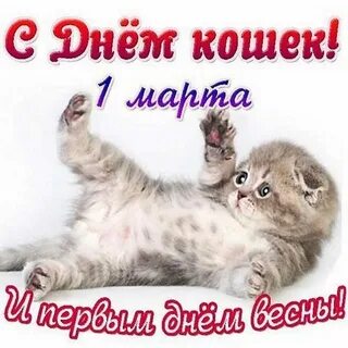 Открытки с первым днем весны с котиками