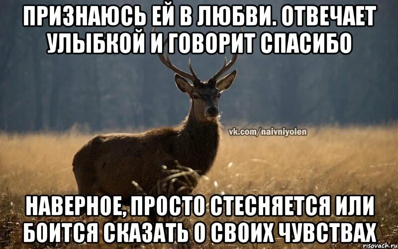 Наивный олень. Он мне просто друг. Но ты не отвечаешь на сообщения. Если я не отвечаю.