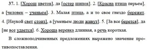 Красна птица перьем а человек ученьем значение