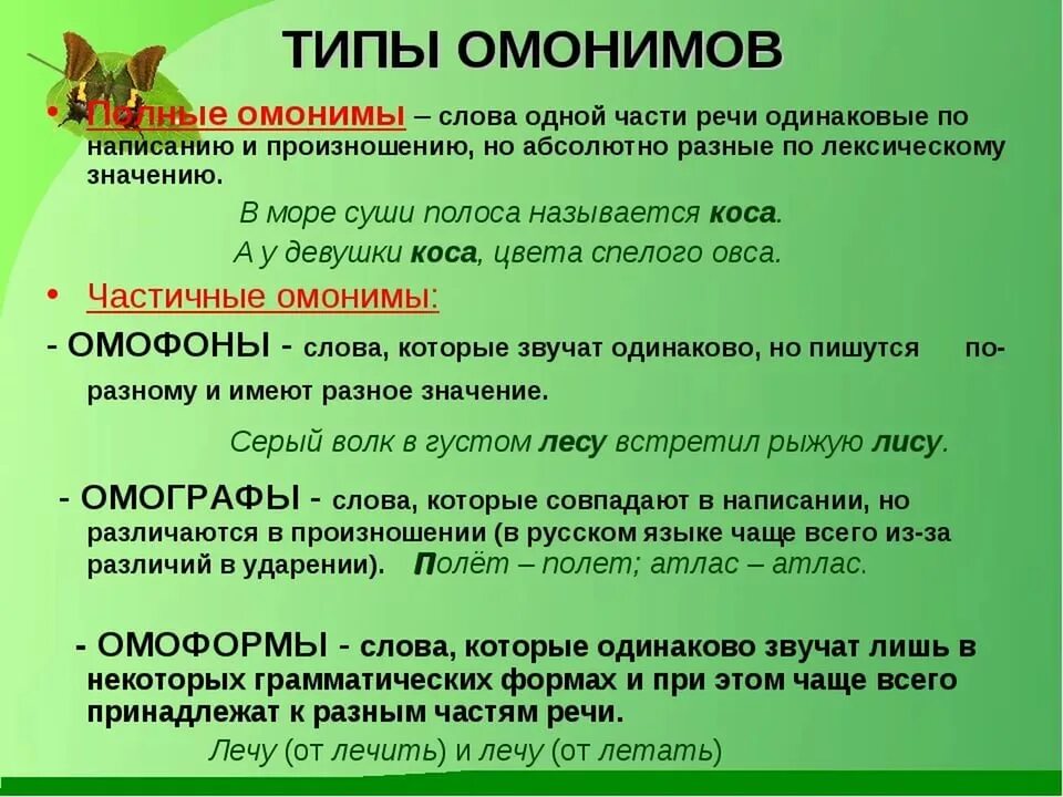 Слова звучащие одинаково на всех языках. Омонимы. Омонимия примеры. Омонимы и омонимия. Интересные омонимы.