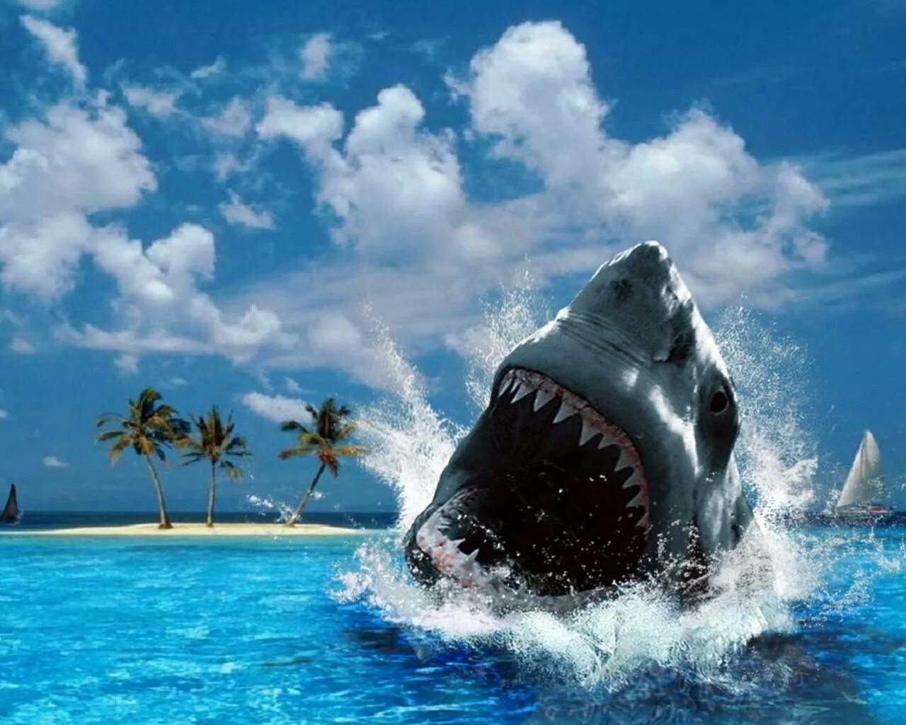 3 d ocean