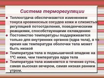 Какова роль кожи в терморегуляции