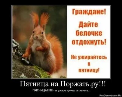 Не дали отдохнуть