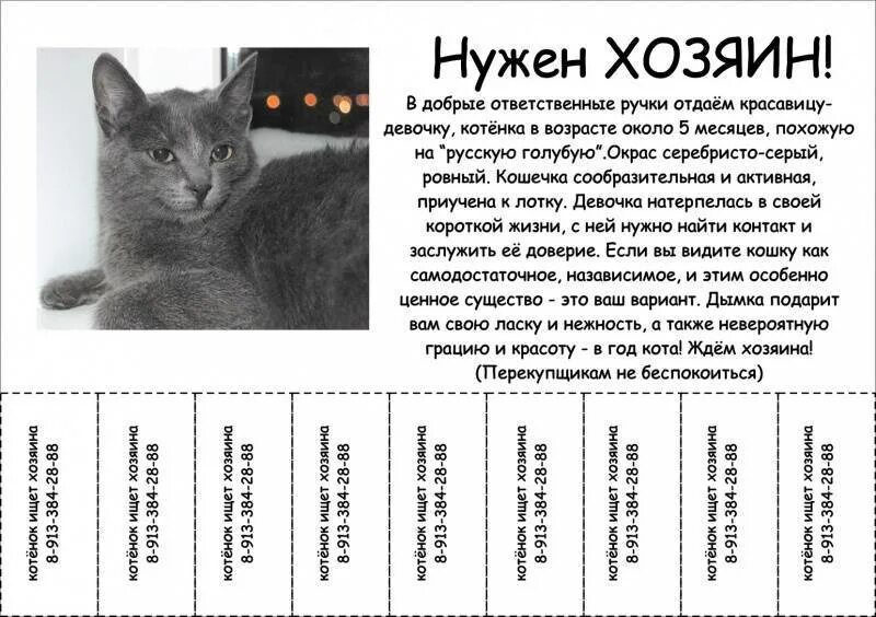 Возраст котенка. Как определить Возраст кота. Определить Возраст котенка. Как определить возрос котёнка.