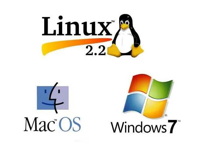 Windows linux являются системами
