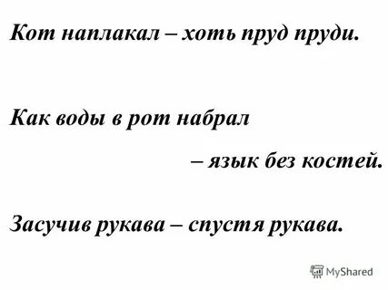Пруд пруди предложение
