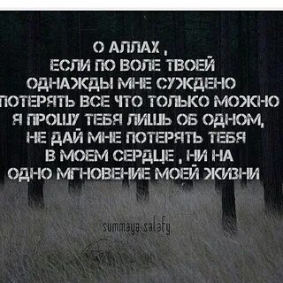 Дай мне волю