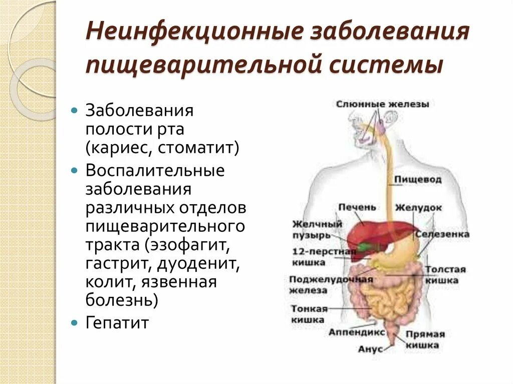 Пищеварительная система заболевание органов пищеварения. Поражение органов пищеварительной системы характерно для. Профилактика заболеваний органов пищеварения схема. Болезни пищеварительной системы схема. Проблемы пищеварительной системы