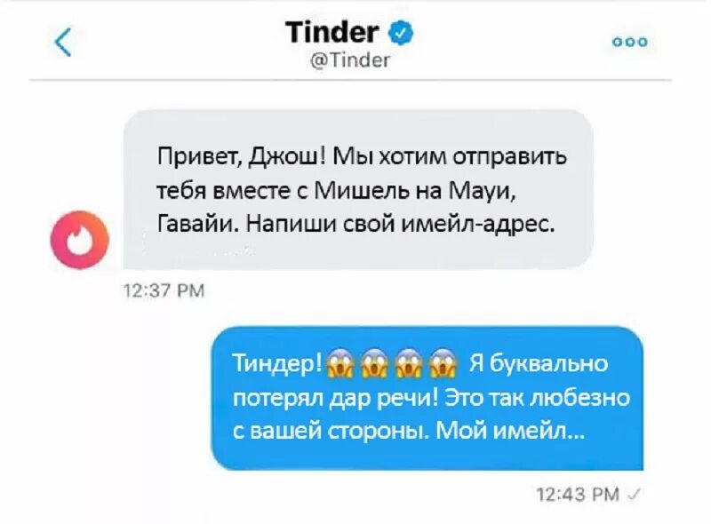 тиндер значок. как написать в тиндере. тиндер как написать сообщения. смешные диалоги в тиндере. тиндер скрин.
