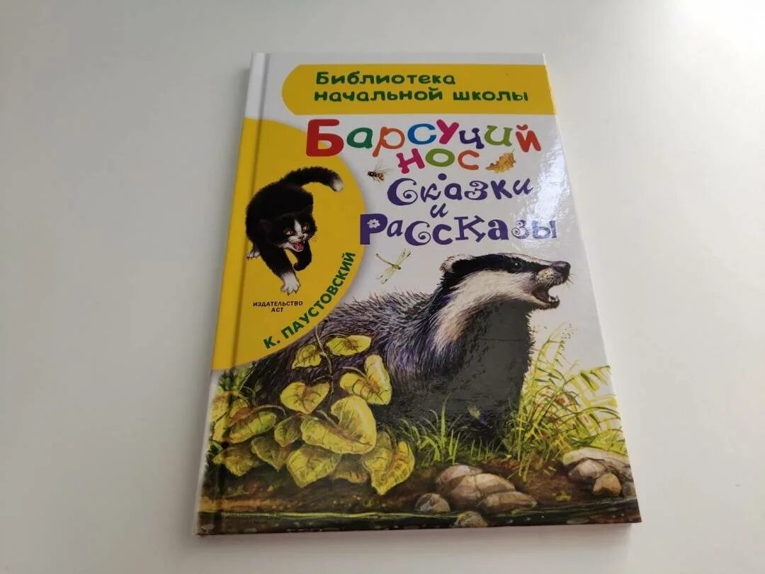 Паустовский барсучий нос читать полностью. Барсучий нос читать. Барсучий нос Паустовский читать. Картинки к Паустовский барсучий нос карандашом для класса 2 легко.