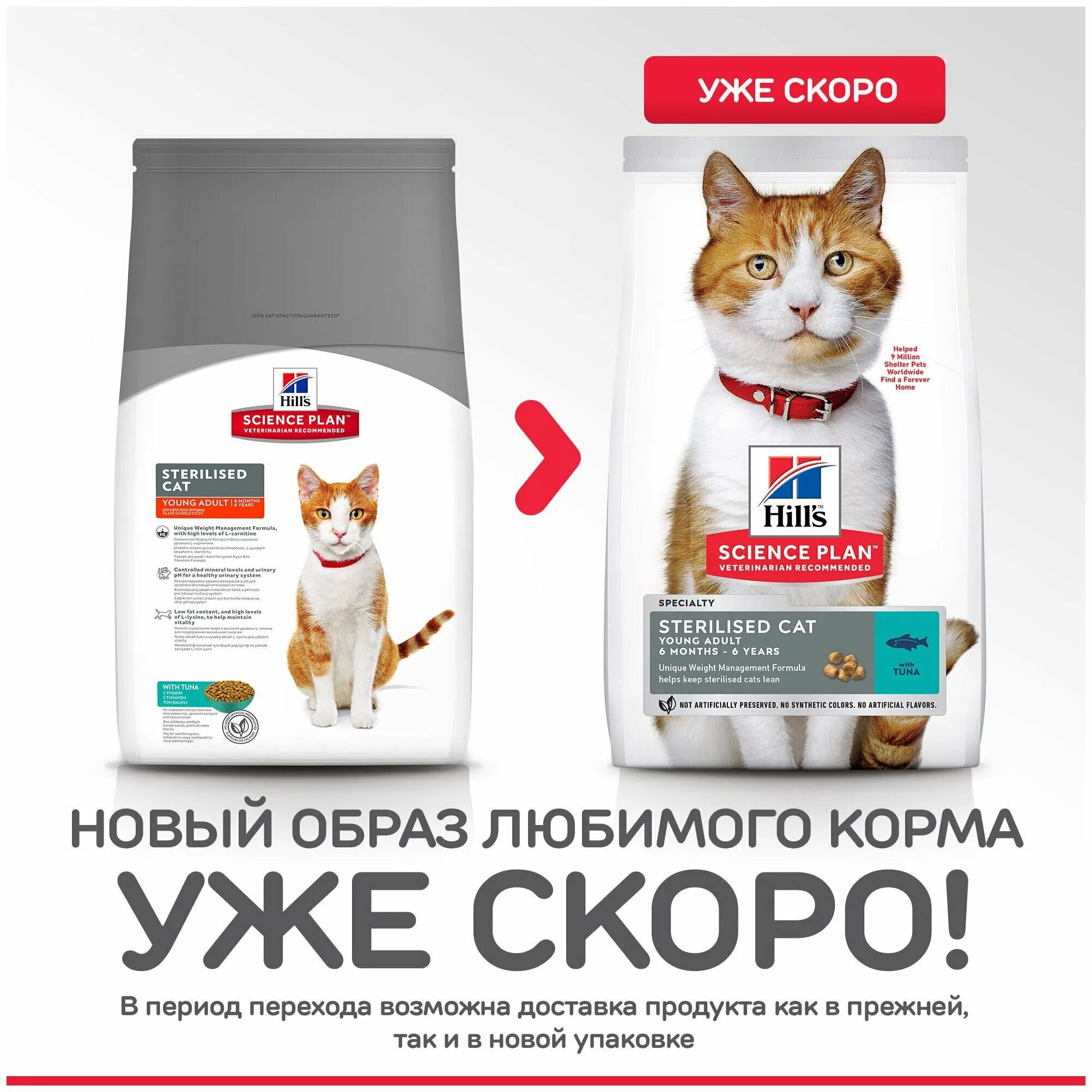 Корм для кошек Хиллс для кастрированных котов. Хиллс корм для кошек стерилизованных сухой. Корм Hill's Science Plan сухой корм для молодых стерилизованных кошек. Корма для кошек Хиллс для стерилизованных. Корм для кошек hill s купить