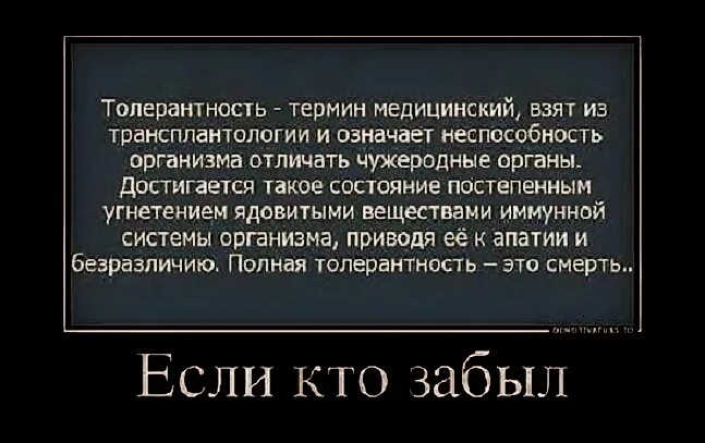 Цитаты о толерантности. Толерантность это плохо. толерантность цитаты. политики о толерантности. толерантность это отсутствие совести.