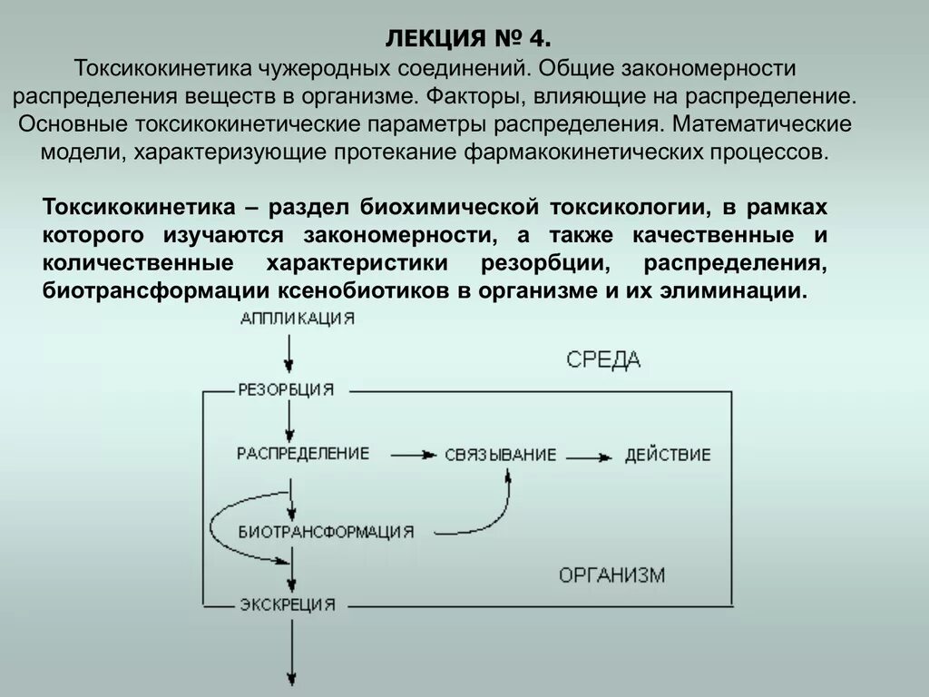 Ксенобиотики в организме. Токсикокинетика чужеродных соединений. Общие закономерности распределения веществ в организме. Токсикокинетические параметры это. Общие закономерности распределения ксенобиотиков в организме.