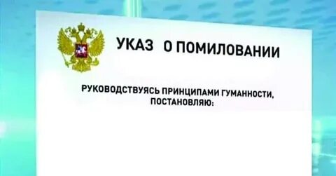 Правительство осуществляет помилование