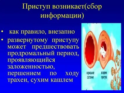 Hyperaemia латынь