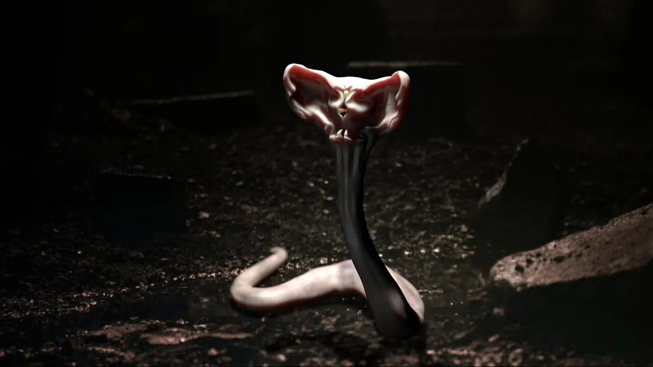 Нагайна гарри поттер. Нагайна змея воландеморта. Нагайна и волдеморт. Сцены со змеями. Джонатан хайд анаконда 1997.